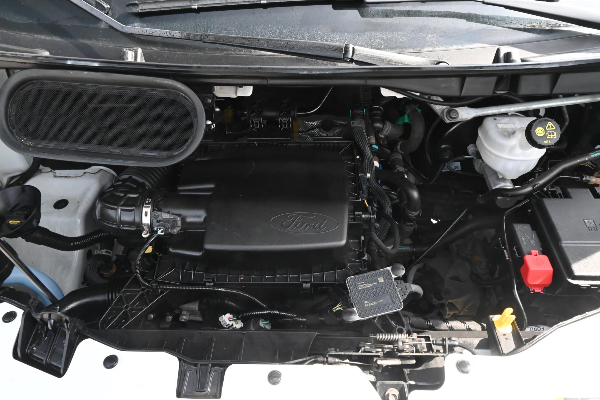 Hlavní fotografie vozu Ford Transit 2,0 EcoBlue 96kW L2H2 Záruka až 5 let (9)