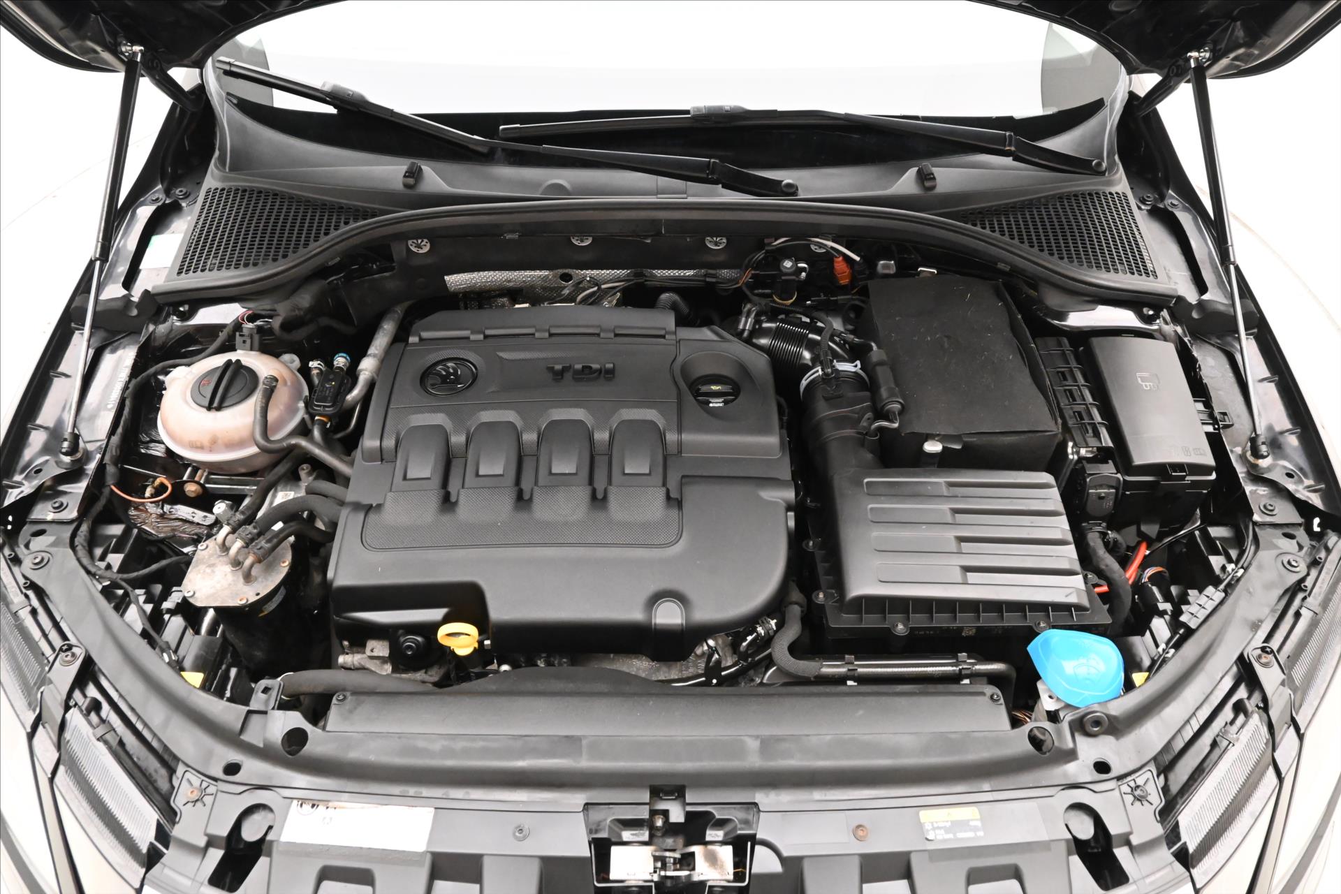 Main photo of the car Skoda Octavia 2.0 TDI 110kW 4x4 Towable Warranty up to 5 years (9)