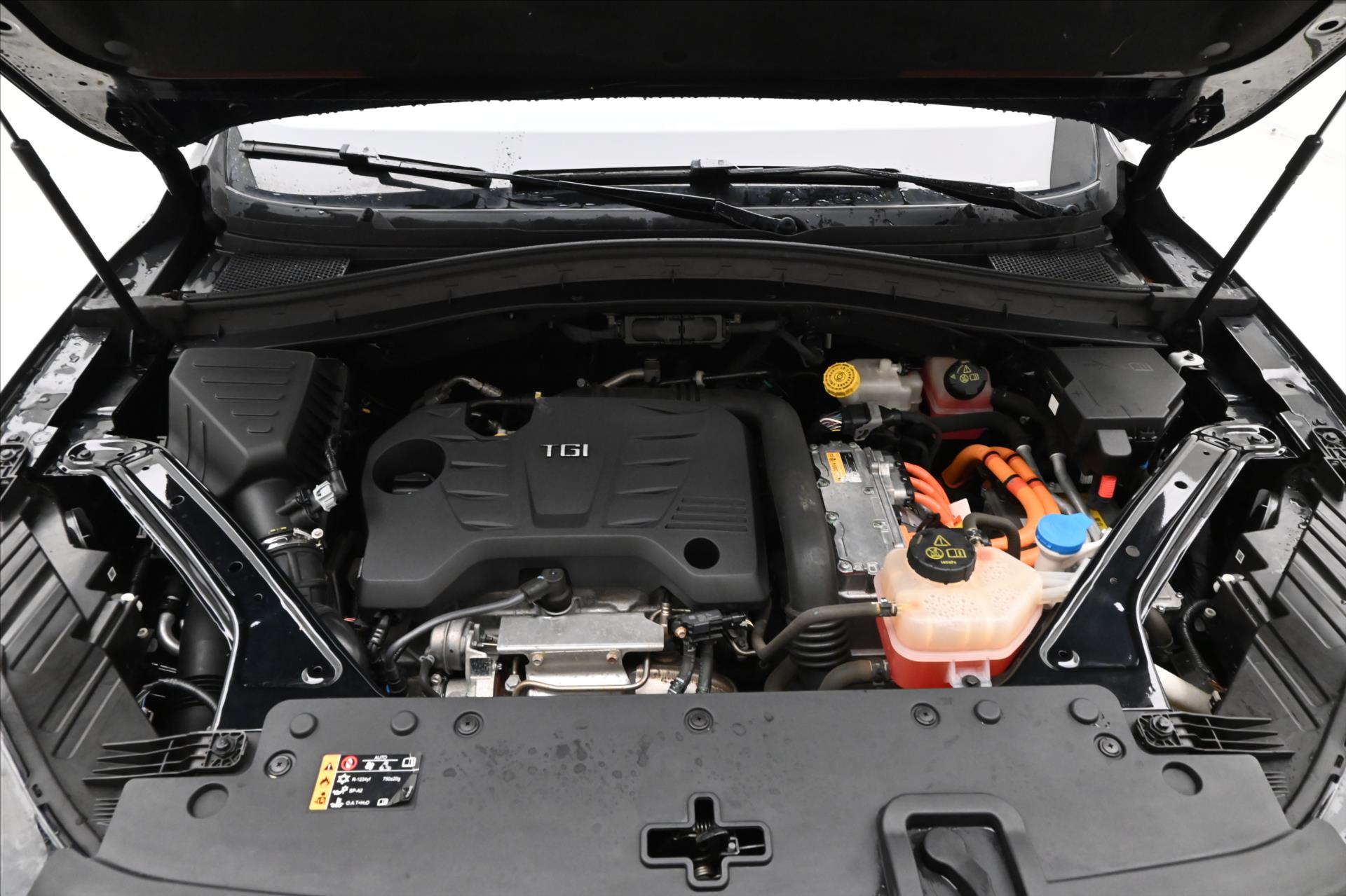Hlavní fotografie vozu MG eHS 1,5 TGI PHEV 119 kW ELEGANCE Záruka až 5 let (9)