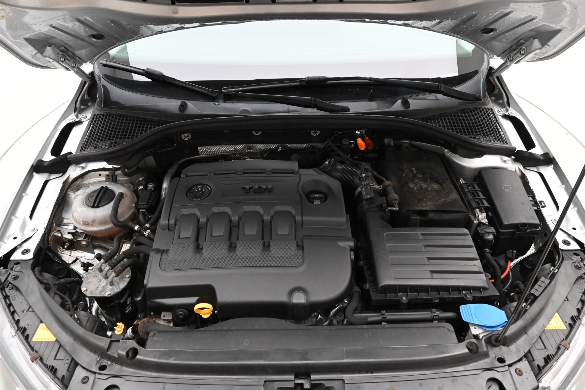 Main photo of the car Skoda Octavia 1,6 TDI 77 kW DSG Ambition Záruka až 5 let (9)