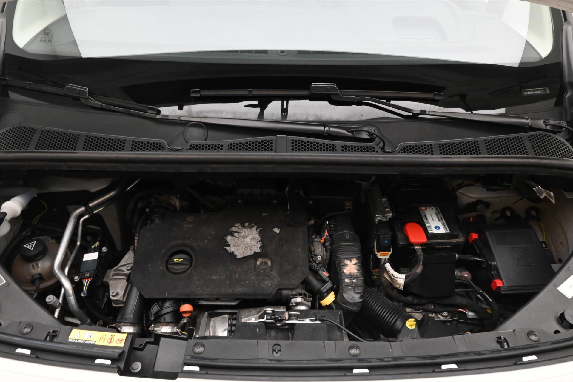 Main photo of the car Citroën Berlingo 1.5 BlueHDI 96 kW EAT8 FEEL Warranty up to 5 years (9)